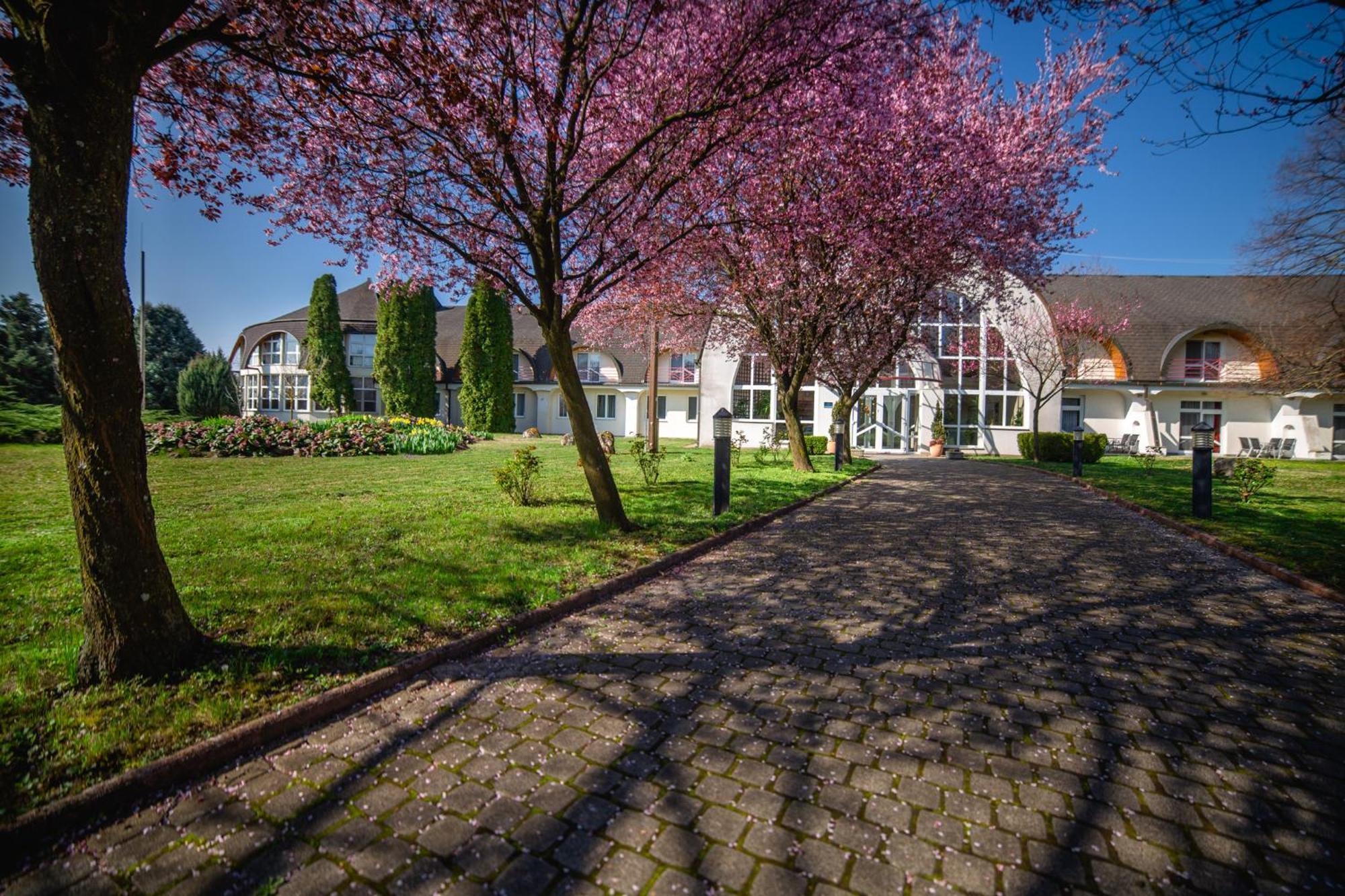 Hotel Ovit Кестели Екстериор снимка