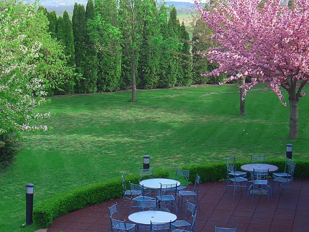 Hotel Ovit Кестели Екстериор снимка